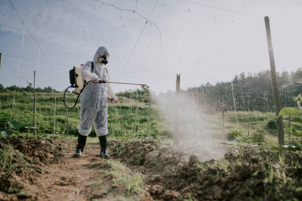 Best Mosquito Control Services  in Waimanalo, HI
