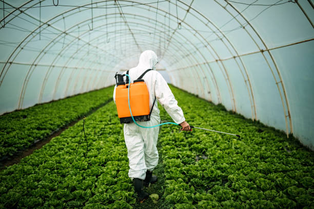 Pest Prevention Services in Waimanalo, HI