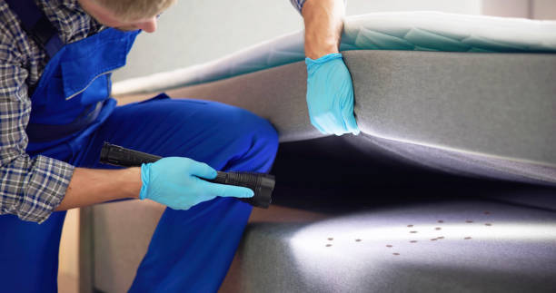 Best Ant Control Services  in Waimanalo, HI
